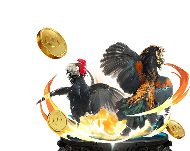 Thưởng nạp lại hàng ngày 58 win